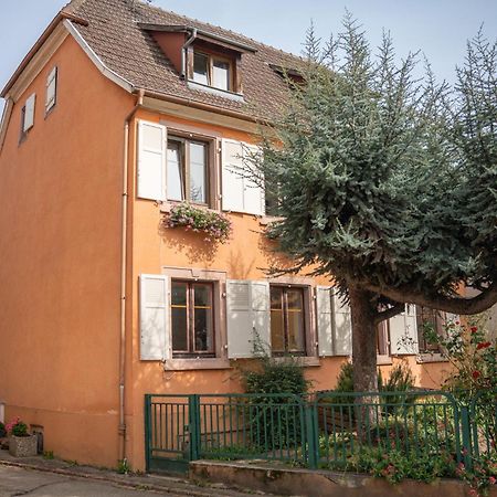 Gite La Grange Eguisheim Ngoại thất bức ảnh