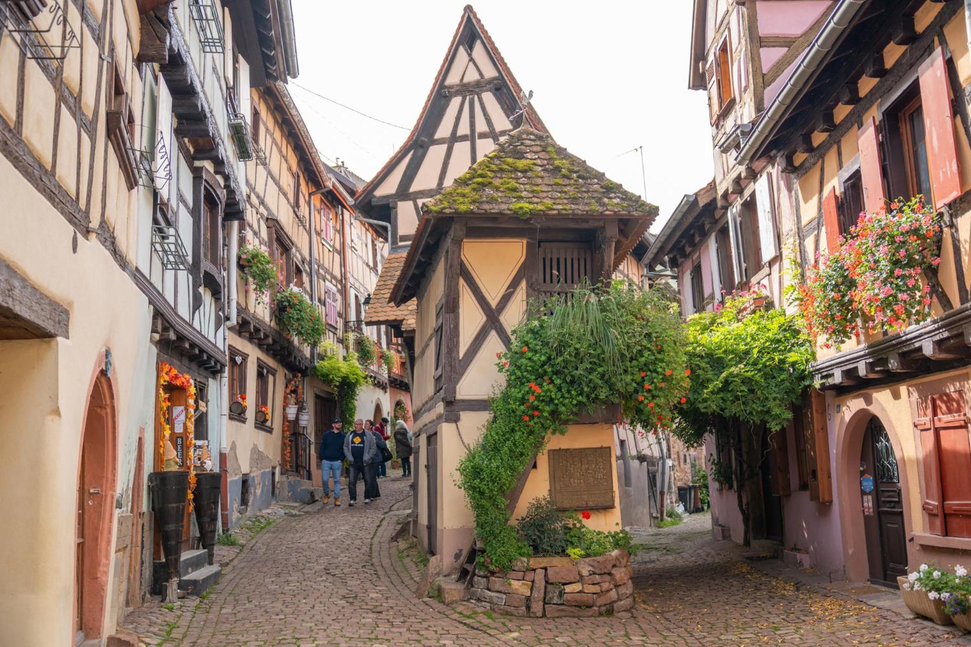 Gite La Grange Eguisheim Ngoại thất bức ảnh